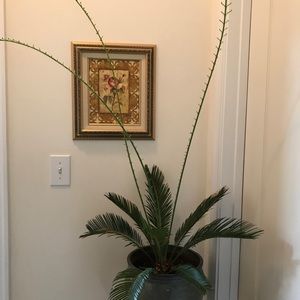 Meet your Posher, Amelia